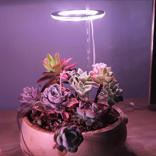 DC5V LED Grow Light Full Spectrum Phyto Grow Lamp For Plants Lamp For Plants Growth Lighting For Indoor Plant Seedlings Flower