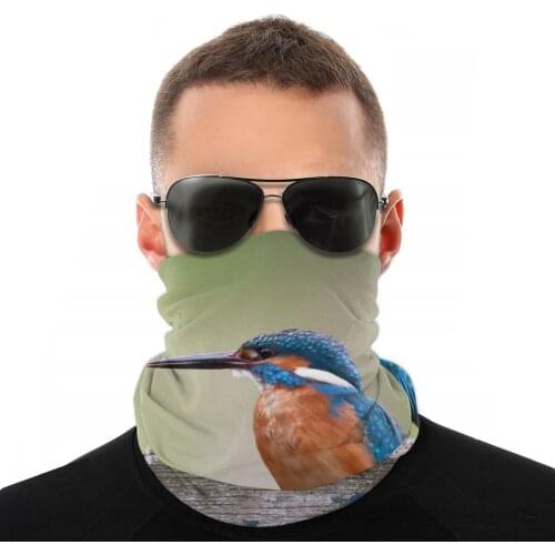 Kingfisher Bird Animal Scarf Half Face Mask Men Women Halloween Tube Mask Neck Bandana Versatility Headband Cycling Hiking