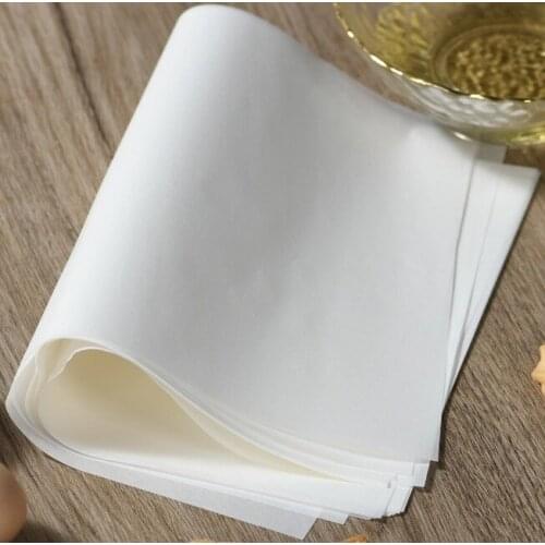 Blotting paper Roasted meat on paper Silicone oil absorbent paper Baking paper Roasting paper baking paper 20 sheets