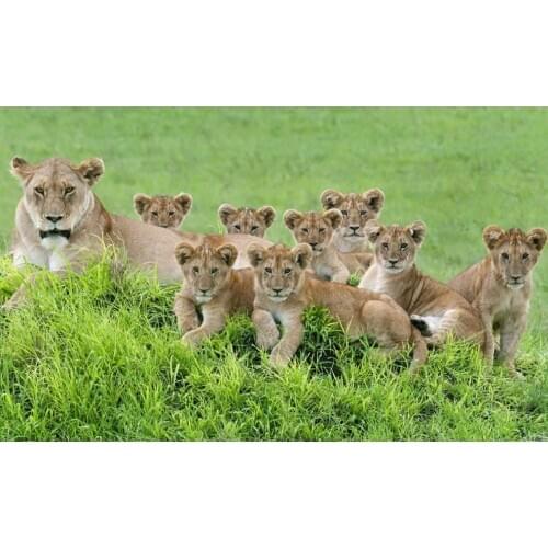 Mother children diamond painting lions animal embroidery mosaic diamond dotz 5d rhinestone picture puzzle toy drawing wall decor
