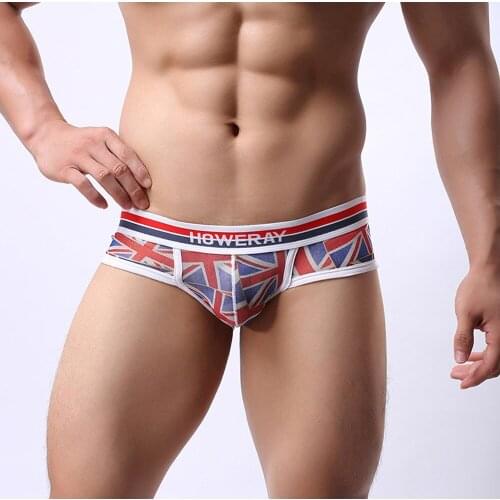 Brand Ice Silk Men Sexy Underwear Briefs Male Low-Rise Gauze Panties M,L,XL,XXL B102