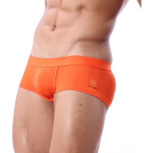 BRAVE PERSON Mens Underwear Boxer Shorts High-quality Low-waist Nylon Underpants Men Boxers Trunks bragas de los hombres