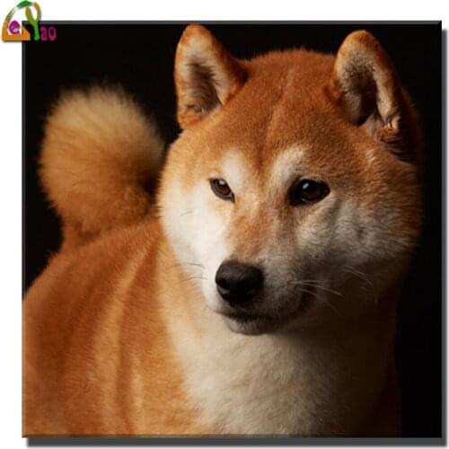 5D diamond painting animal set, Shiba Inu dog pet,square round diamond embroidery, mosaic picture, cross stitch, DIY decoration