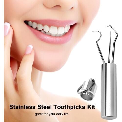 3 Types Portable Toothpicks Stainless Steel Tooth Pick Sticks Pocket Toothpick with Holder for Teeth Cleaning Teeth Care tools