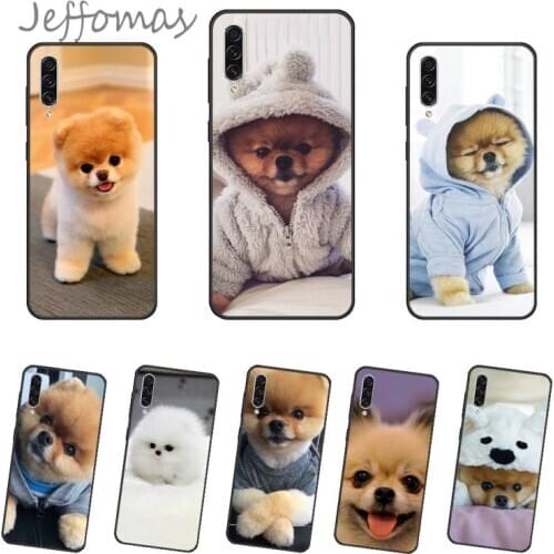 Pomeranian dogs Phone Case For Samsung galaxy S 7 8 9 10 20 edge A 6 10 20 30 50 51 70 note 10 plus