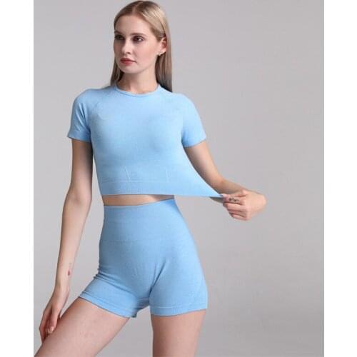 Womens Seamless Yoga Suit Sportswear Gym Fitness Cloth Goga Short Sleeve Shirt High Waist Running Leggings Fitness Pants Suit