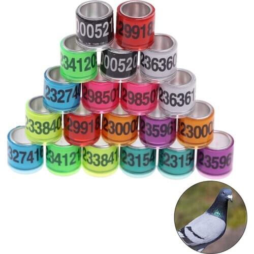 20 pcs Pigeon Foot Ring With Word Earrings Quality Durable Bird Ring Pheasant Foot Ring Multicolor Bird Tools