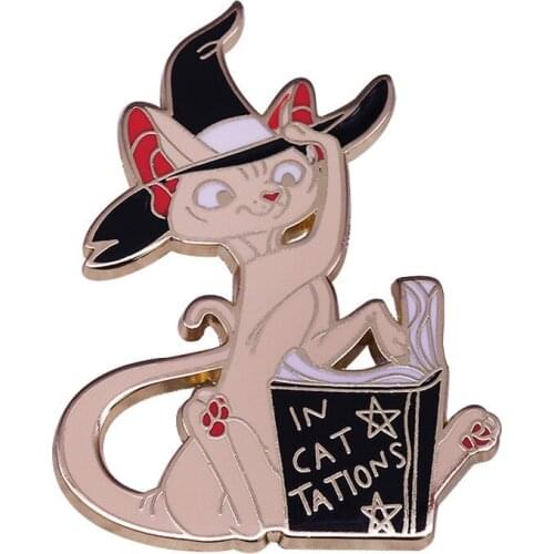 Sphynx Witch Spell Book Hard Enamel Pin Animal Fox Brooch Badge Halloween Party Cute Decoration Gift