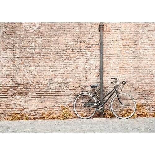 Brick Wall Bicycle Photography Backdrop Customized Vinyl Background for Children Baby Portrait Pets Toy Photophone Fond Photo