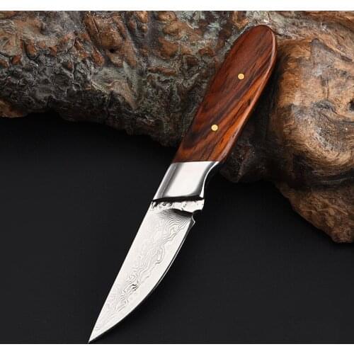 Small Straight Knife Damascus Fixed Blade Wood Handle EDC Multi Tools Hunting Survival Knife with Sheath Gift