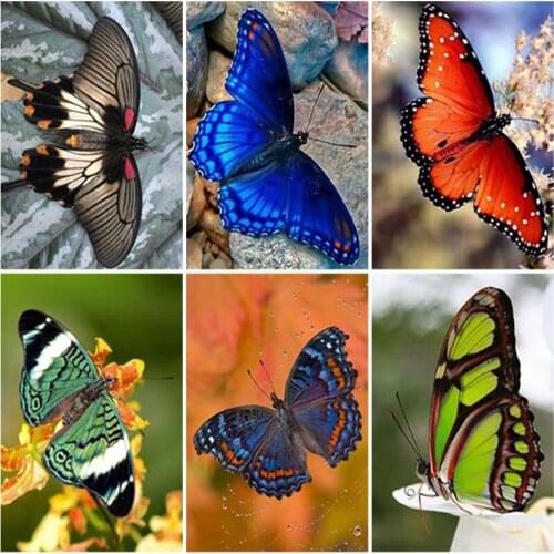 DIY Diamond Embroidery 5D Diamond Painting Butterfly Diamond Mosaic Cross Stitch Kits Rhinestones Wall Art Home Decor Gift