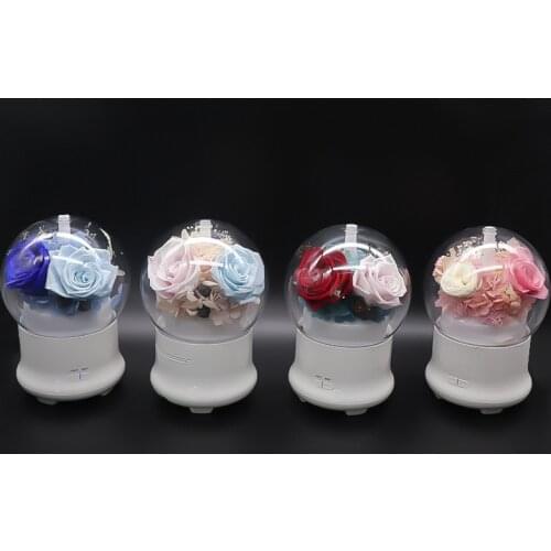 Easinfinch Aroma Diffusers