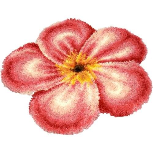 Irregular Shape DIY Flowers Latch Hook Rug Kits for Adults - Beginners - Kids with Preprinted Canvas Pattern Hobby Crafts