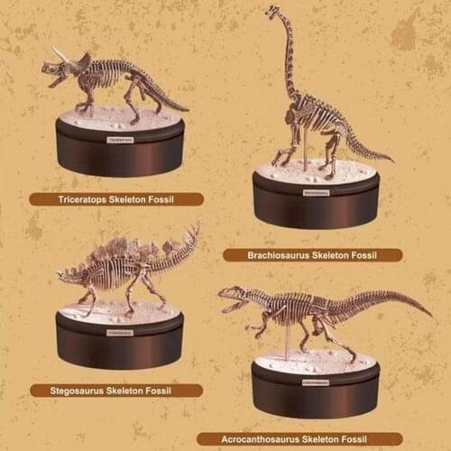 4D Assembling Fossil Skeleton Dinosaur Simulation Animal Model Toys Gifts Children Educational Science Toy