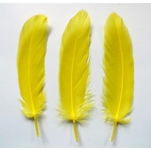 Wholesale 1000Pcs Yellow Natural Plume Goose Feathers For DIY Crafts Christmas Cosplay Hat Clothing Shoes Accessories Decoration