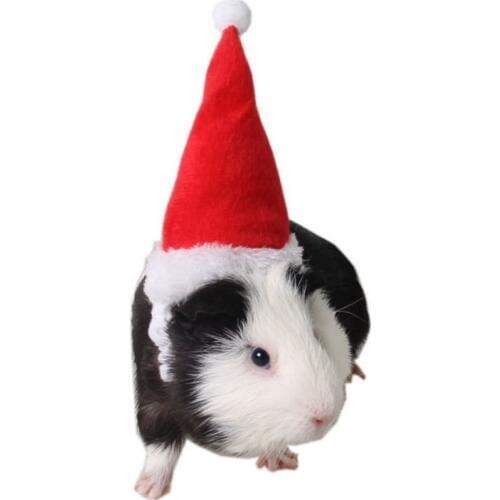 Small Animals Pet Santa Claus Hat Rabbit Hamster Guinea Pig Rats Christmas Cap