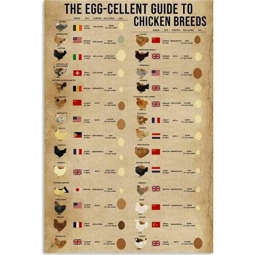 Retro Tin Sign Art Poster Guide To Chicken Breed Kitchen Home Decoration Restaurant Farm Metal Sign 8x12 Inches