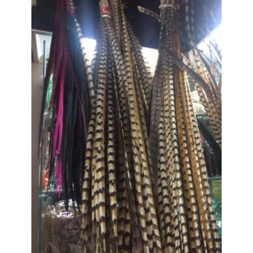 Free Shipping 50PCS Natural Pheasant Tail Feather 110-120cm Lady Amherst Pheasant Feather Reeve pheasant feather For Aztec Dance