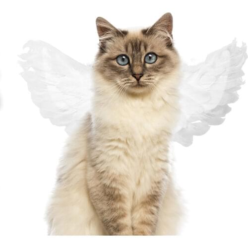 Pet Decorations Cute Feather Angel Wing Costume for Puppy Kitten Halloween Party Dog Cat Dress Up Wings Clothes Pets Supplies