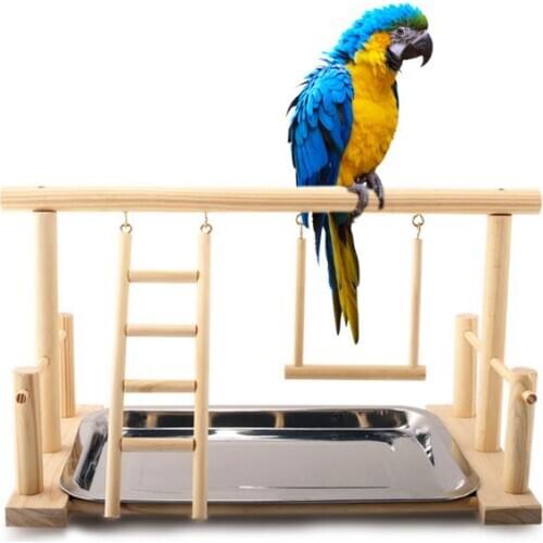 Parrot Standing Training Frame Bird Playground with Food Tray Pet Supplies
