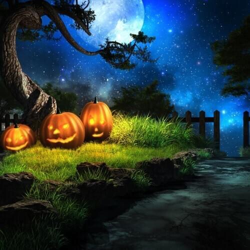 VinylBDS Pumpkin Photography Backdrop Night Moon Halloween Photography Backgrounds For Children Halloween Photo Background