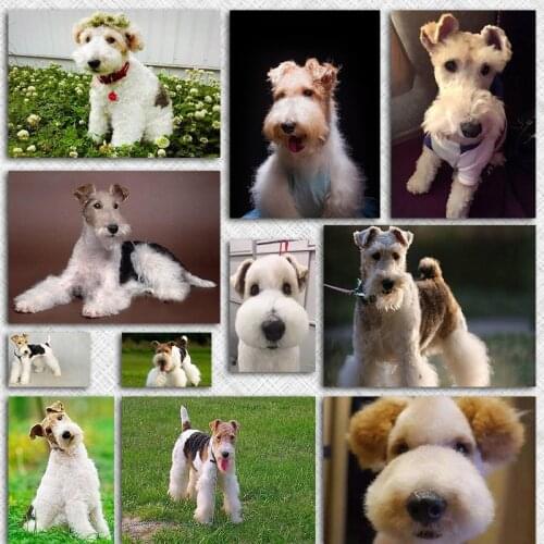 Full Round Diamond Painting Cross Stitch Patterns 5d Diy Diamond Mosaic Diamond Embroidery Home Decor Needlework Fox Terrier Dog