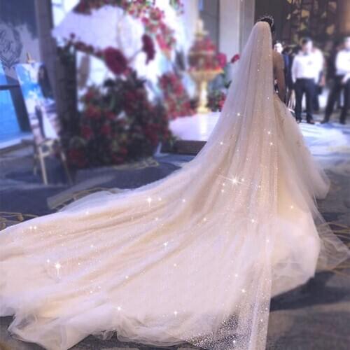 Champagne Big Wedding Veil One Layer Gilding Bridal Veil with Comb 300*350