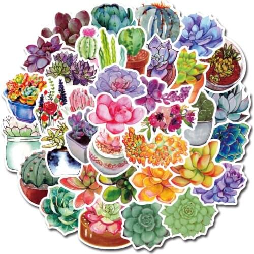 50pcs Multicolor Succulent Plants Graffiti Sticker Cactus For Luggage Laptop Car Skateboard Guitar Fridge Toy PVC Decal Stickers