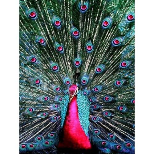 YIKEE diamond painting peacock,cross stitch diamond,diamond mosaic paintings Y184
