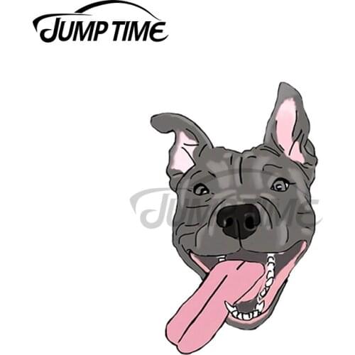 JumpTime 13 x 3cm For Nelson the Pitbull Decal Windshield Windows Refrigerator Car Stickers Scratch-Proof Motorcycle Car Styling