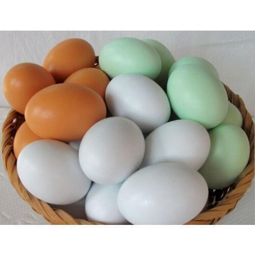 1PC Poultry Simulation Wooden Fake Eggs Chicken Duck Geese Hatch Incubation Breeding House Painting Toy Wood Craft MQ 007