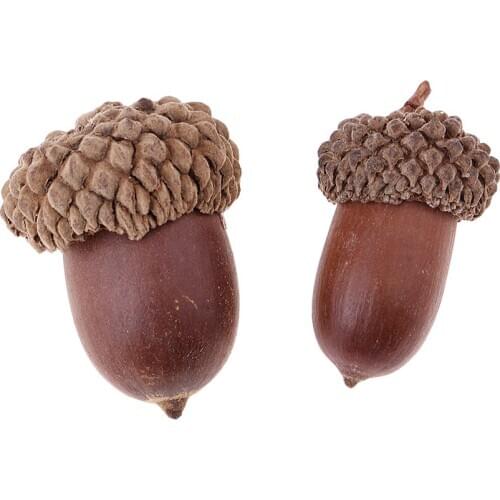 10 pieces of beautiful acorns mini dried oak nuts fruits home wedding christmas tree decorations