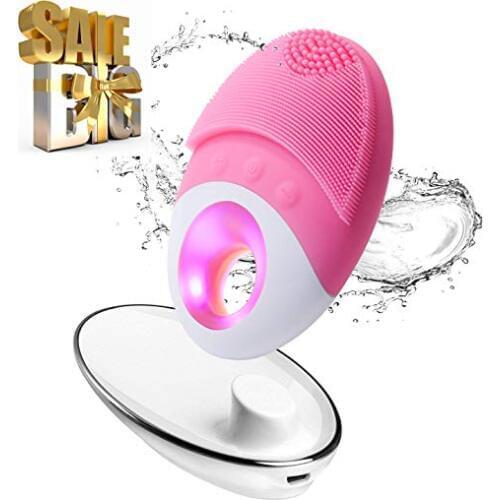 Little Dolphin Silicone Brushes