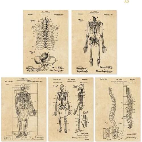 5 in 1 skelton linedrawing doctor wall decor art prints HD printing sea house wall decor unframed
