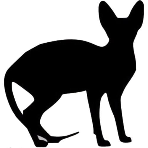 Cute pet car sticker cross country diesel car motorcycle auto parts personalized decoration refrigerator car fun Decal PVC