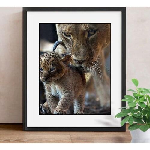 Diamond Mosaic Sale Tiger Diamond Embroidery Full Display Animals Diamond Painting New Square Stones Rhinestones Pictures
