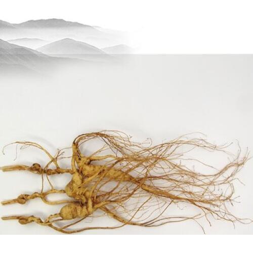 15 years changbai mountains wild ginseng under forest northeast specialty gift box Chandon use