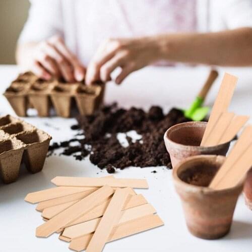 NEW 50/100PCS Plants Flower Labels Woody Indoor Bonsai Name Tag Stake type Kindergarten Pot Plants Label Mark Garden Decoration