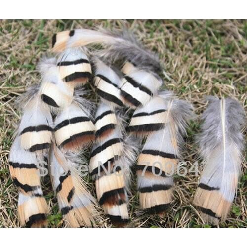 Chukar Feathers,100pcs/lot- NATURAL CHUKAR PARTRIDGE Hen Feathers,Loose Chukar Feathers 4-8CM length for Crafts,Jewelry Making