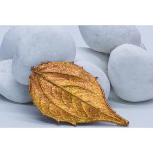 Galvanoestetika Brooches