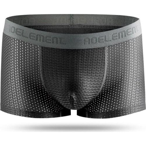 Summer Mens Boxers Sexy Gay Underwear Men Panties Breathable Ice Silk Mesh Pouch Underpants Male Boxershorts Trunk Plus Size