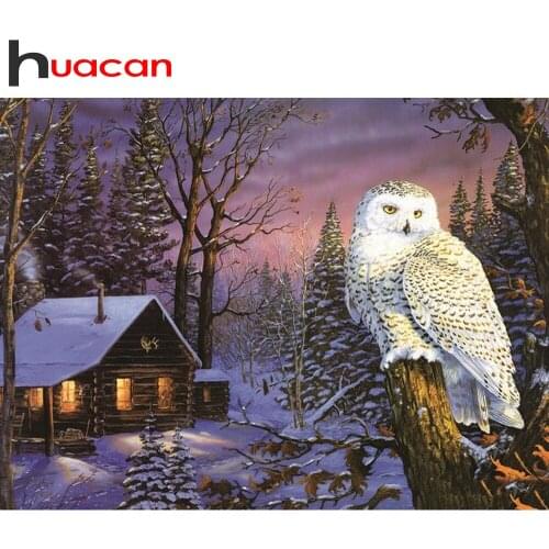 Huacan Diamond Mosaic Owl Winter Beads Embroidery 5D Diamond Painting Animals Modular Pictures Handicraft Creative Hobbies