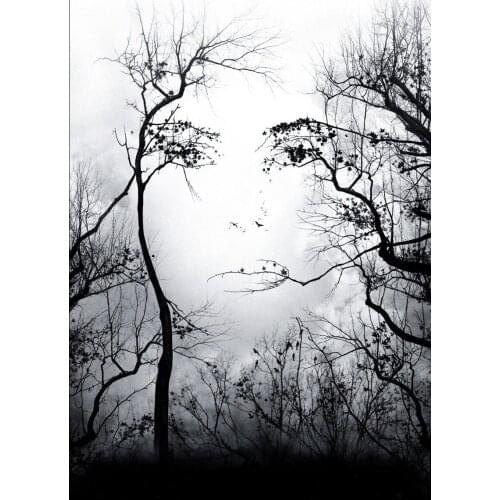 Art in Nature Face Art Film Print Silk Poster Home Wall Decor 24x36inch
