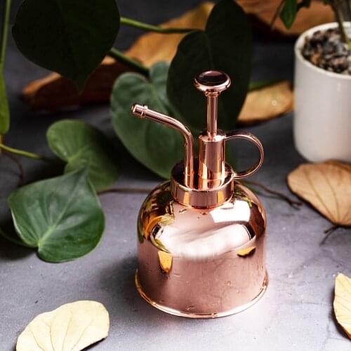 Pure Color Mini Kettle Fogger Sprayer Shower Flower Vintage Brass Gold Water Spray Pump Stainless Steel Watering Spray Pot