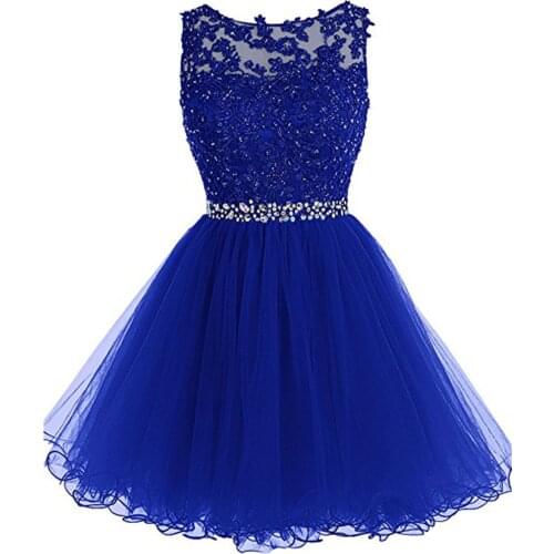 Tulle Mini Dress For Girls Homecoming Dresses Lace Appliques Bodice