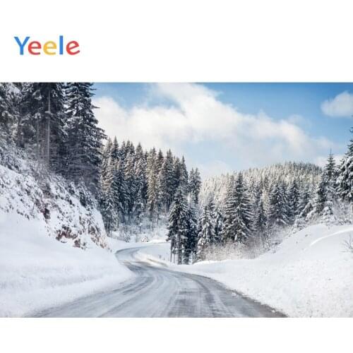Winter Snow Forest Sunlight Road Cloud Sky Home Decoration Backdrop Photography Custom Photographic Background For Photo Studio