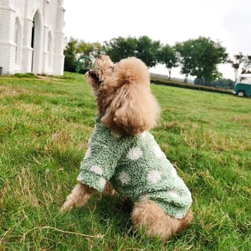Winter Dog Clothes Puppy Hoodies Shirt Cute Dot Pattern Warm Fleece Chihuahua Pet Clothing for Small Dog Coat Cat Costume