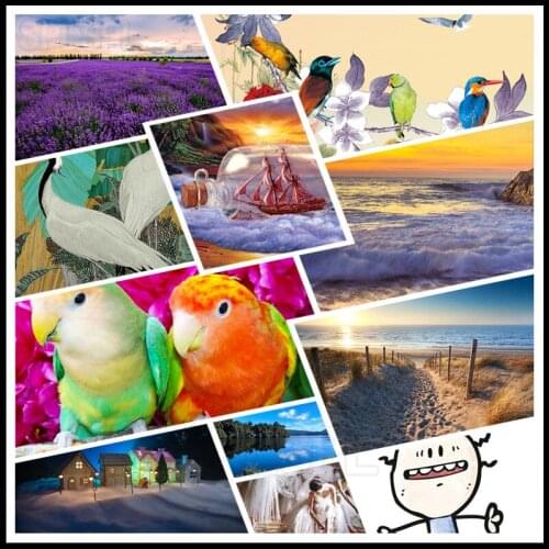 5d Diamond Painting Parrot Dancing Girl Light Luxury Retro Flower Bird Butterflies Cartoon Stick Figure Character Picture