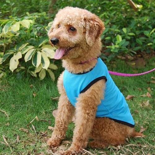 Solid Color Cool Mesh Dogs Vests Summer Pet Clothing Pet Vest Comfortable Sun Protection Shirt Sleeveless Dog Pet Products