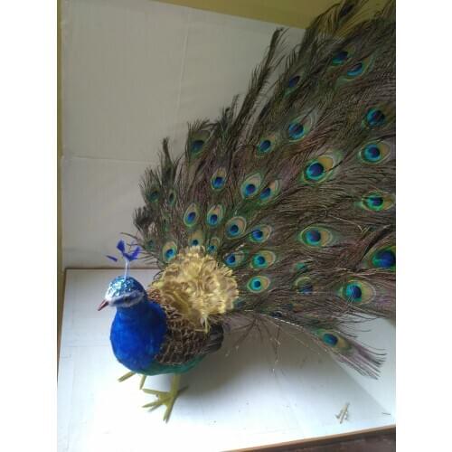 Big simulation peacock model foam&feather beautiful peacock model about 65x60cm 1268